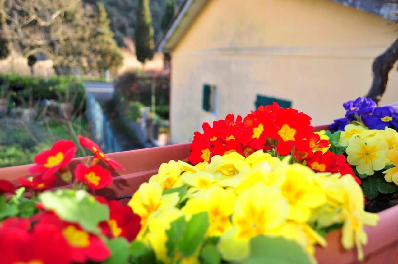 Come A Casa Deiva Marina Kültér fotó